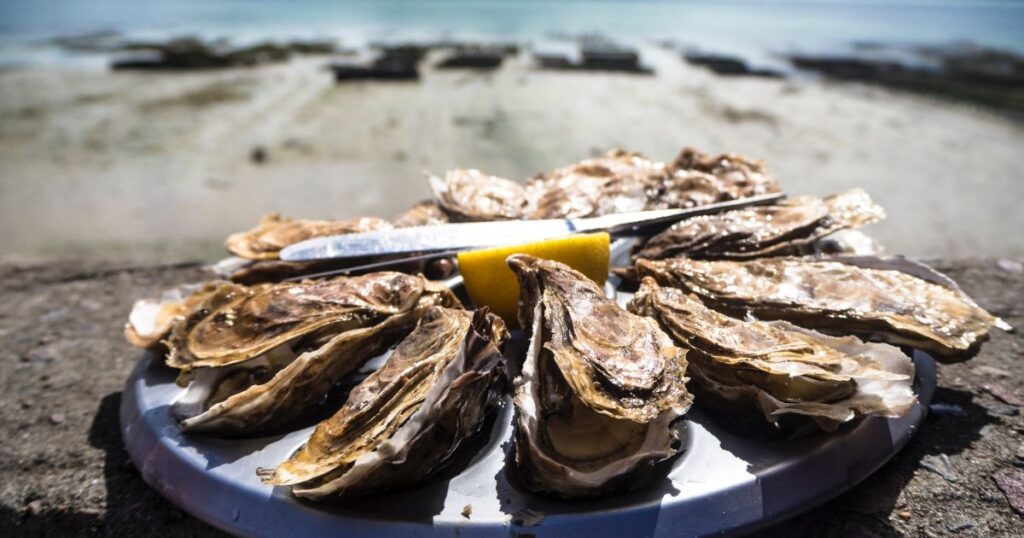 浜で食べる牡蠣。まな板に10個。