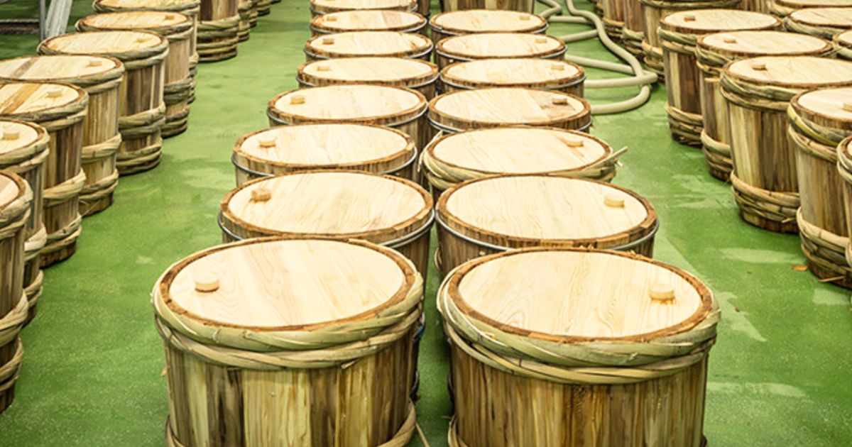 日本酒菊正宗樽酒がうまい理由を徹底解説！伝統製法と香りの秘密